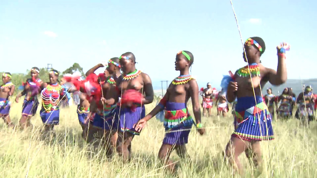 Zulu maiden songs and dances.