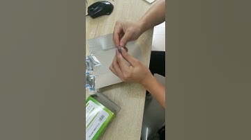 SULIT! Cockroach Trap (10 Traps)