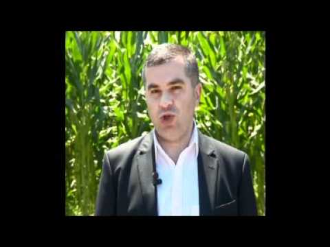 დავით ბაქრაძე ლაგოდეხში