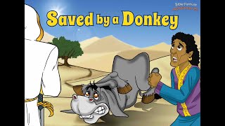 Saved By A Donkey | The Adventures of Balaam
