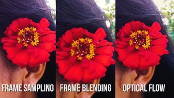 Optical Flow vs Frame Blending vs Frame Sampling (VIDEO COMPARISON) (Premiere Pro CC 2017)
