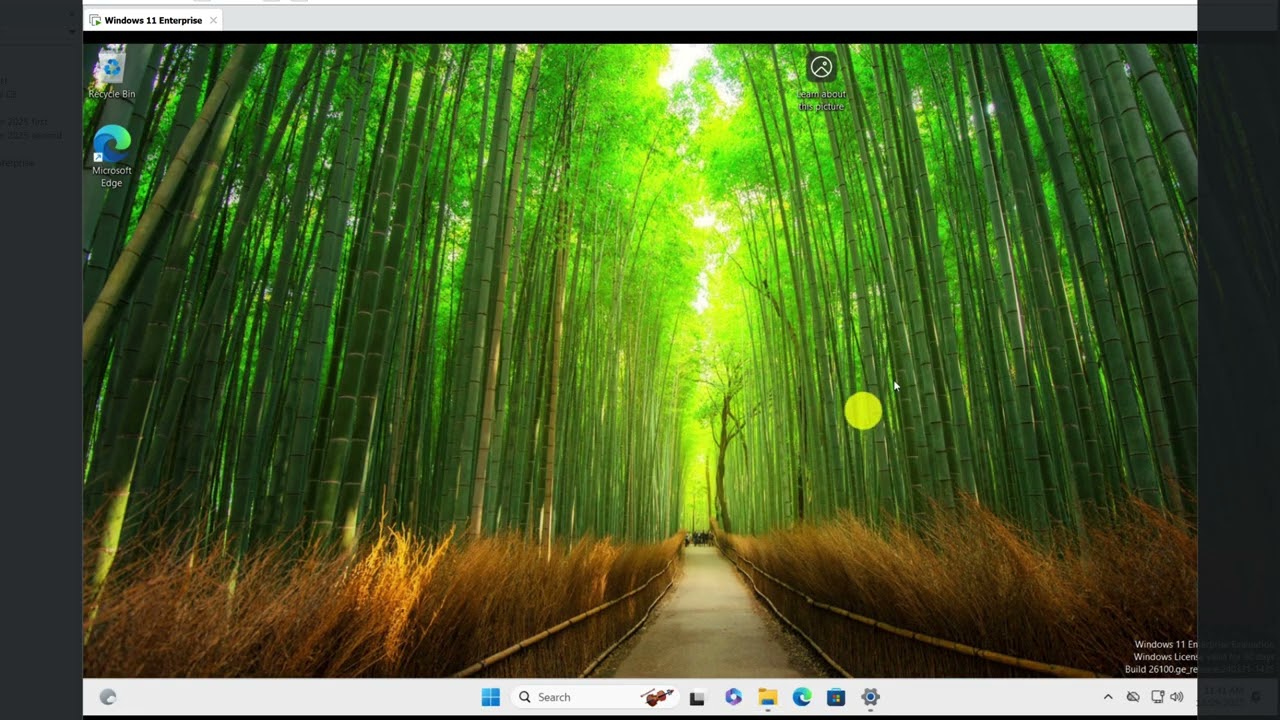 Lesson 9 - VMware Workstation Pro (Preparing Windows 11 Enterprise Golden Image with Sysprep)