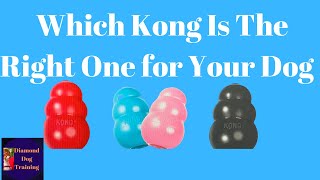 Kong Puppy vs Kong Classic/  Must see, How to Choose The Right Color and Size Kong For Your Dog.