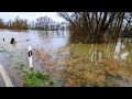 Weihnachtshochwasser 2023 am Rhein bei Rees