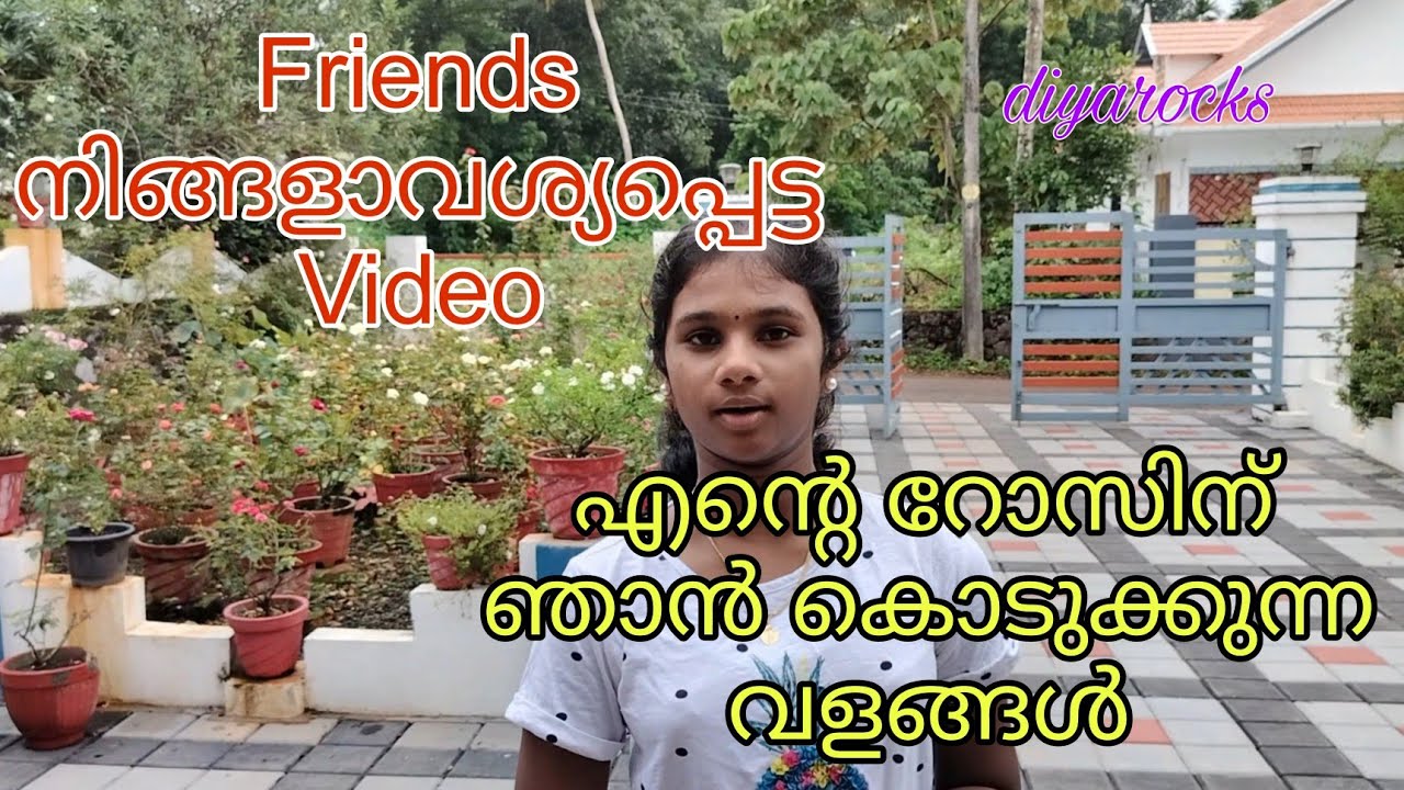 fertilizer-for-rose-plant-my-magic-fertilizer-dap-npk-how-to-use