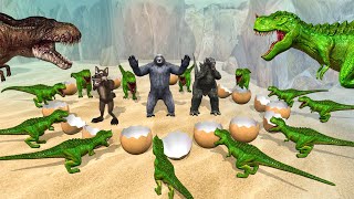 Crazy Dinosaurs vs Gorilla Godzilla Wolf Funny video || Cartoon dinosaurs comedy video