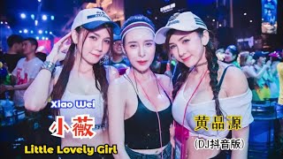 黄品源 - 小薇 (Dj抖音版) Xiao Wei【Little Lovely Girl】- Lirik Pinyin Terjemahan Indonesia ||Hot Tiktok Douyin