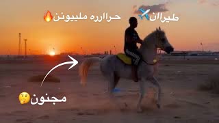 الخيل من خيالها. 🔥💪🏼 انا وحصاني المختار مشاءالله (شيلة ماجد الرسلاني)