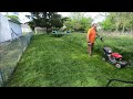 Tackling a 5,000 sq. ft. overgrown back yard.