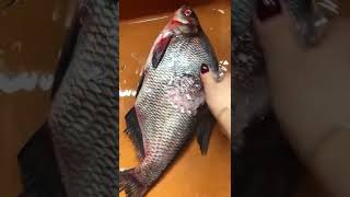 как чистить рыбу лайвхак