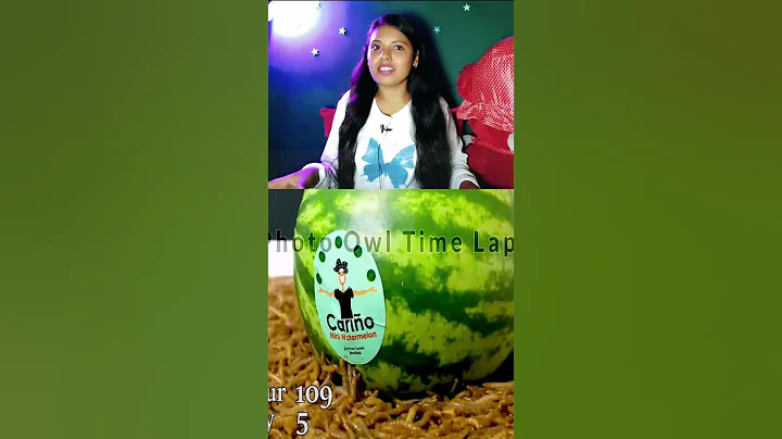 10000 Mealworm VS Watermelon Time Lapse #shorts #youtubeshortindia