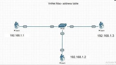 VnNet Demo port security