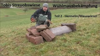 Wühlmausbekämpfung Teil 2 - Mauswiesel/Hermelin