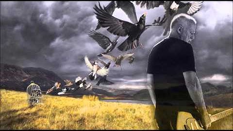 A Boat Lies Waiting - David Gilmour