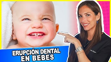 🔵¿A los cuantos meses le salen LOS DIENTES a los BEBES? 𝐃𝐄𝐒𝐂𝐔𝐁𝐑𝐄 el ORDEN de SALIDA de los dientes