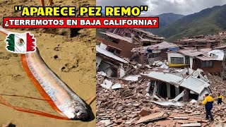 URGENTE: EL PEZ DE LOS TERREMOTOS ACABA DE APARECER EN BAJA CALIFORNIA, TEMEN UN GRAN TERREMOTO
