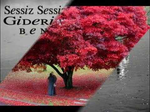 sinan özen - şimdi yoksun (son albüm)