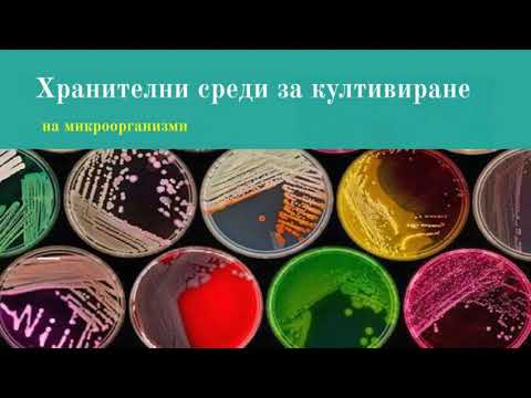 Среди за култивиране на микроорганизми