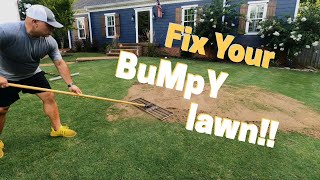 How To: Level your Lawn FLAT with Sand!!!