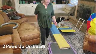 Baker DMWYD Olympic Balance Beam