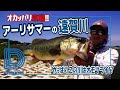 【青木大介】D Channel #005 アーリーサマーの遠賀川/オカッパリ攻略