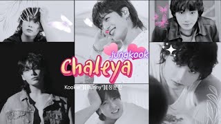 Chaleya (jawan) 💞🥀🍂 Jungkook hindi FMV 💜🐰🦋