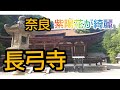 奈良【長弓寺】紫陽花が綺麗な歴史有る寺院