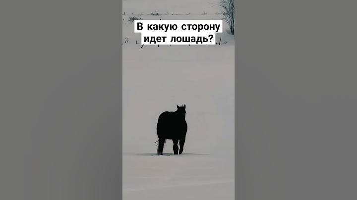 Обман зрения. В какую сторону идёт лошадь?#обманзрения#иллюзия#лошадь#вирусноевидео