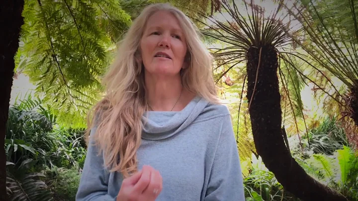 Innocence to Sovereignty with Middle Earth Medicin...