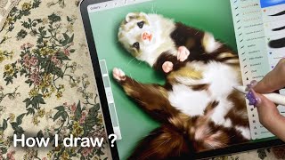 How to draw a weasel | Animal illustration | Time lapse | 동물 일러스트 | 아이패드 프로크리에이트 어플을 이용해 귀여운 동물 그리기