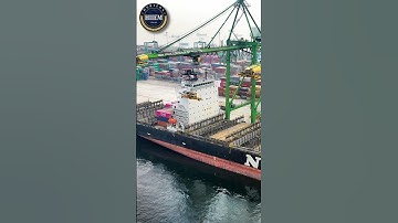 Export import complete procedure from warehouse to port #hiiem #sagaragravat