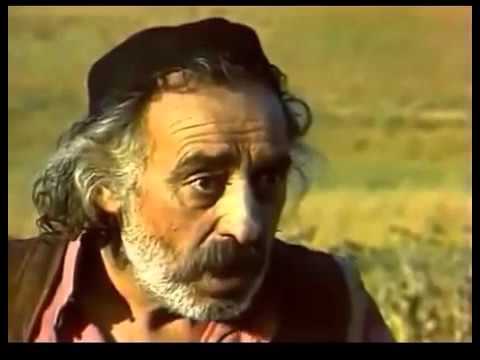 სახედრიანი დიდყურა კაცის ამბავი