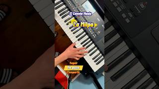 La Milpa #elcoyotemusic#moviditas#teclados #musicaparabailar