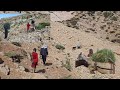 Father and daughter's nomadic life journey in the mountains wild plants and grass for livestock