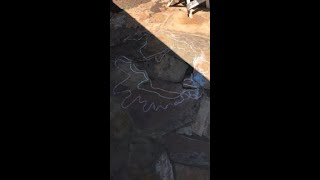 Daily Dose of Backyard Science - Evaporating Puddles