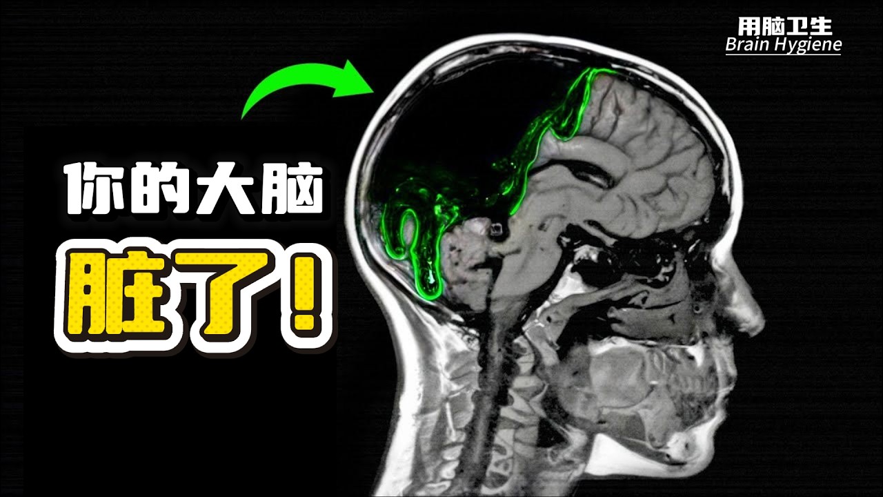 为什么你会有反应迟钝、变笨的感觉?为什么啥也没做却总很累?请注意用脑卫生! - YouTube