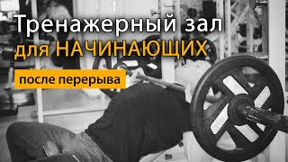 Тренировка В Тренажерном Зале Для Начинающих После Перерыва