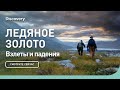 Взлет и падение | Ледяное золото | Discovery