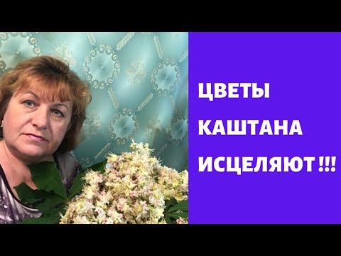 Каштан исцеляет ваше здоровье !