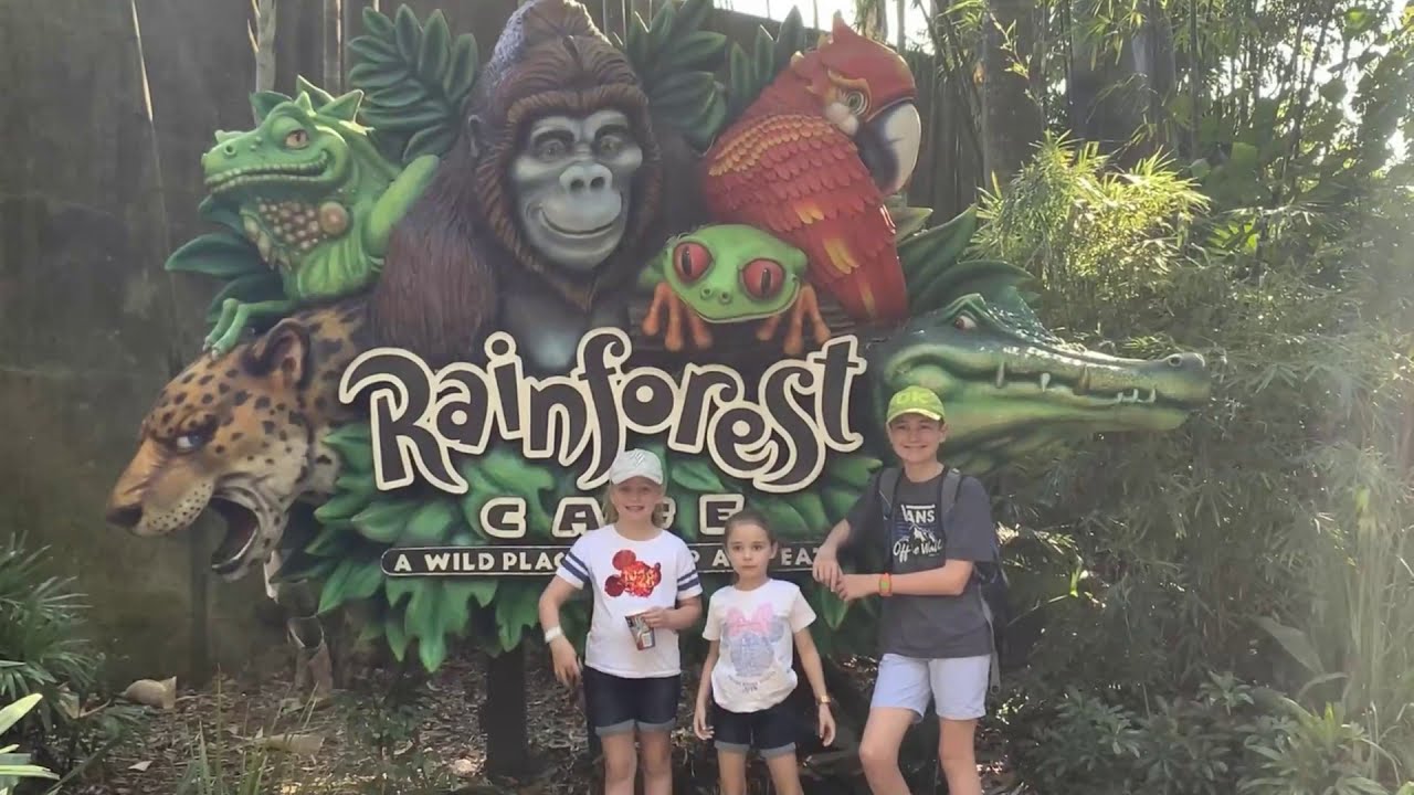 A Rainy Day at Animal Kingdom, Walt Disney World 2019 - YouTube