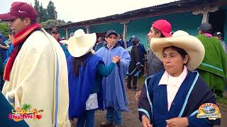 BUSCO REMEDIO PARA OLVIDARTE   Cantaritos del Encanto   Crismi Producciones Primicia Junio 2021