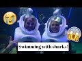 SWIMMING WITH SHARKS! | SeaBlondes