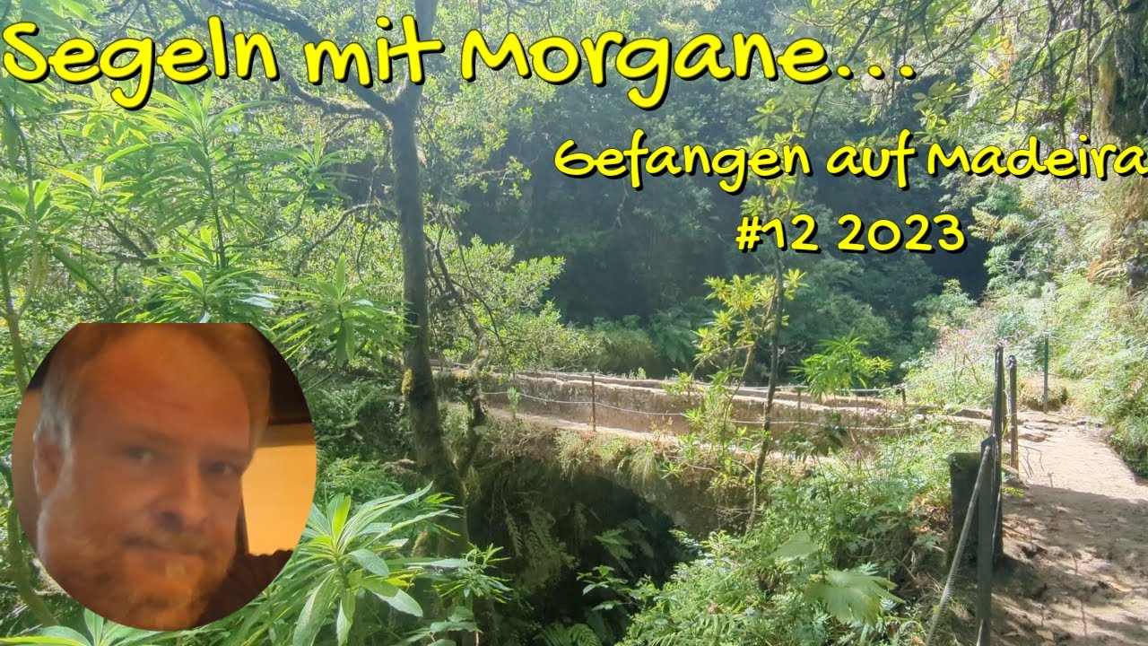 ⁣Gefangen auf Madeira #12 2023
