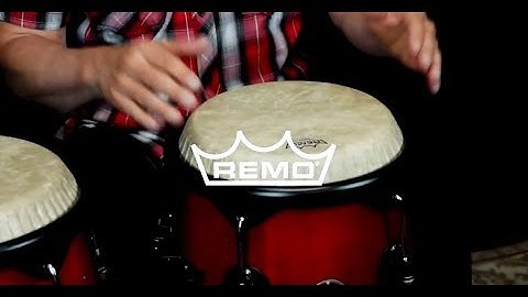 Remo Symmetry Conga Drumheads, Toca Conga Synergy