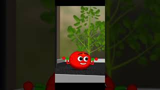 When you&#39;re desperate to be the strongest tomato on the vine but running low on juice #cartoon #lol