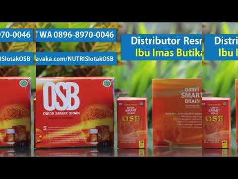 Wa 0896 8970 0046 Distributor Jual Nutrisi Vitamin Otak Osb Di Kebumen Jawa Tengah