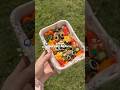可愛いお弁当を作る一人暮らしの休日🍙 #vlog #あつ森 #休日の過ごし方
