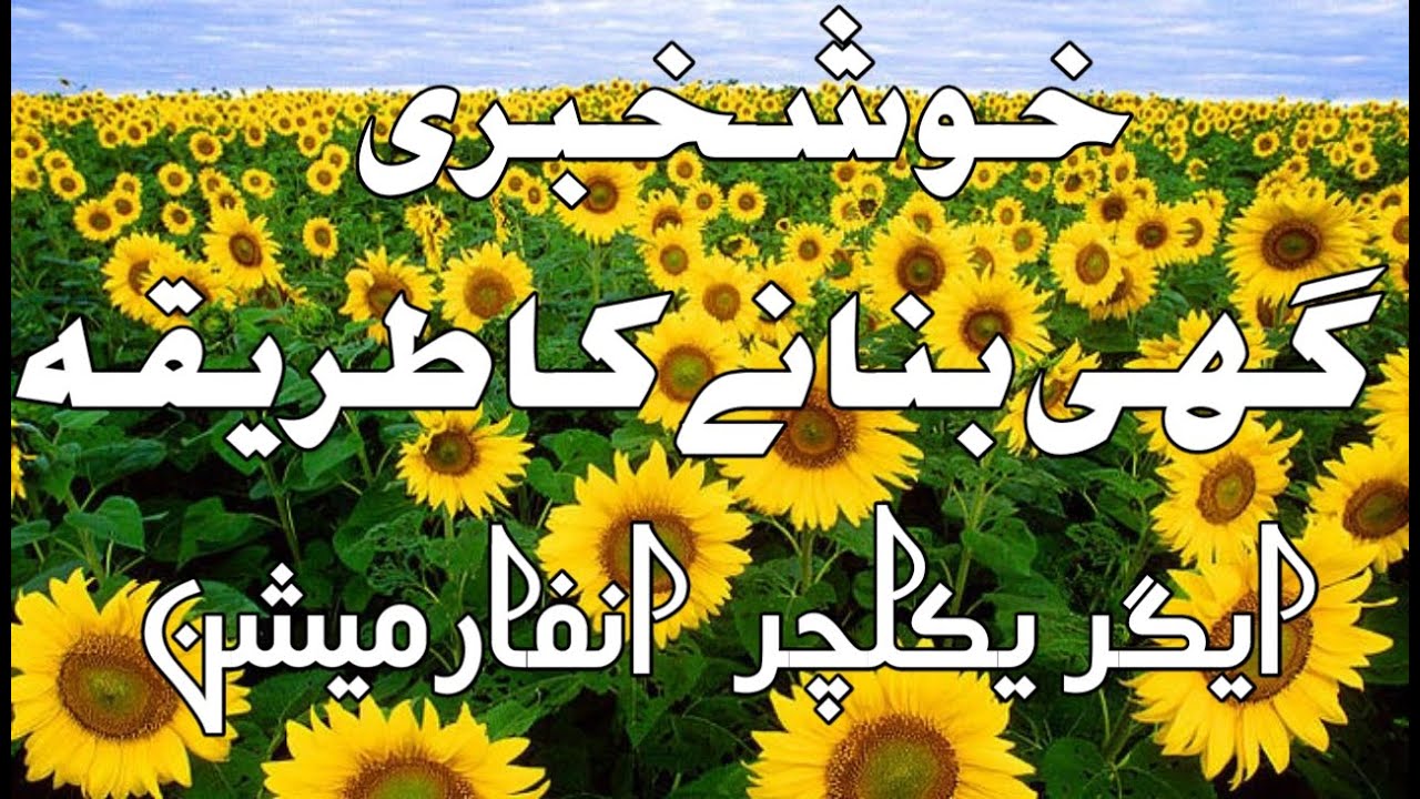 sunflower oil production process sunflower oil manufacturing process