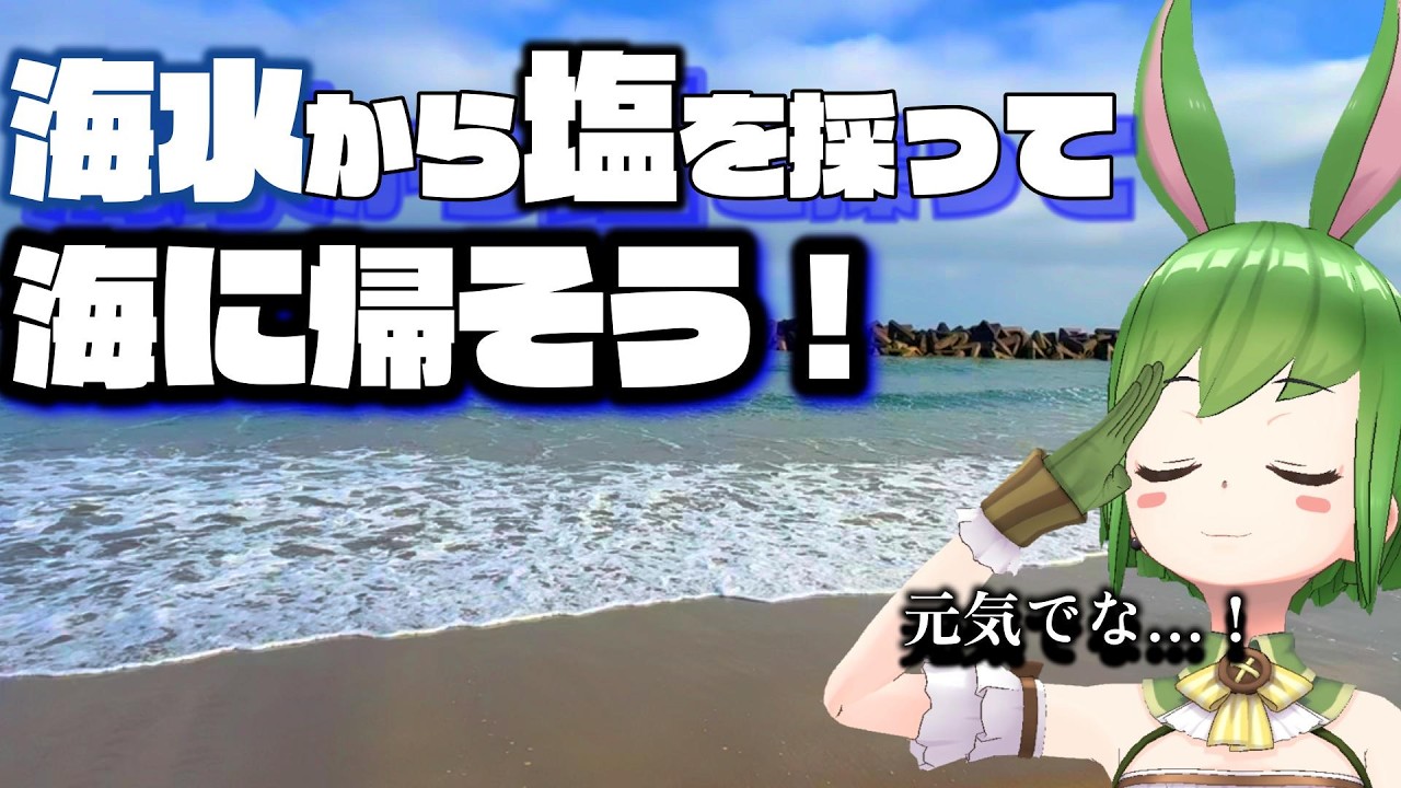 【無意味】塩を採って海に帰してあげよう！！！