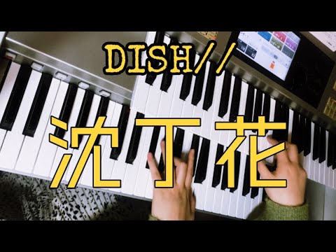【月刊エレクトーン】沈丁花 DISH//弾いてみた🎶